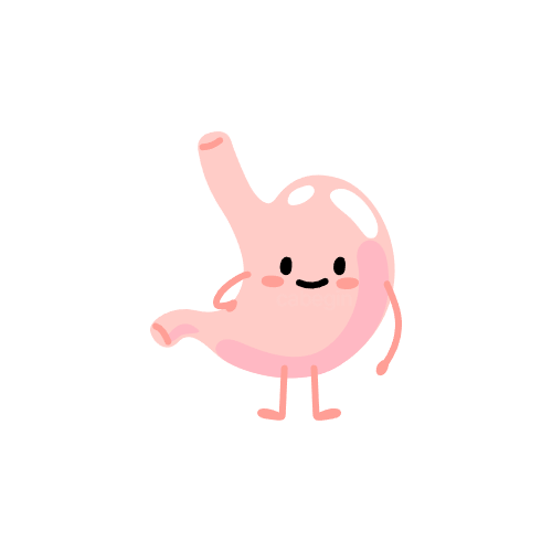 위장 관련 이미지