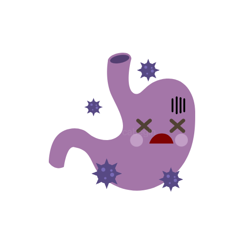 위장 문제 원리 이미지